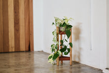 Load image into Gallery viewer, Green Wood Plant Stands