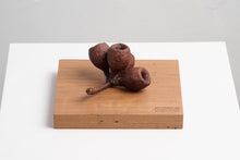 Load image into Gallery viewer, Small Memories