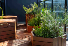 Load image into Gallery viewer, Apartment Package
