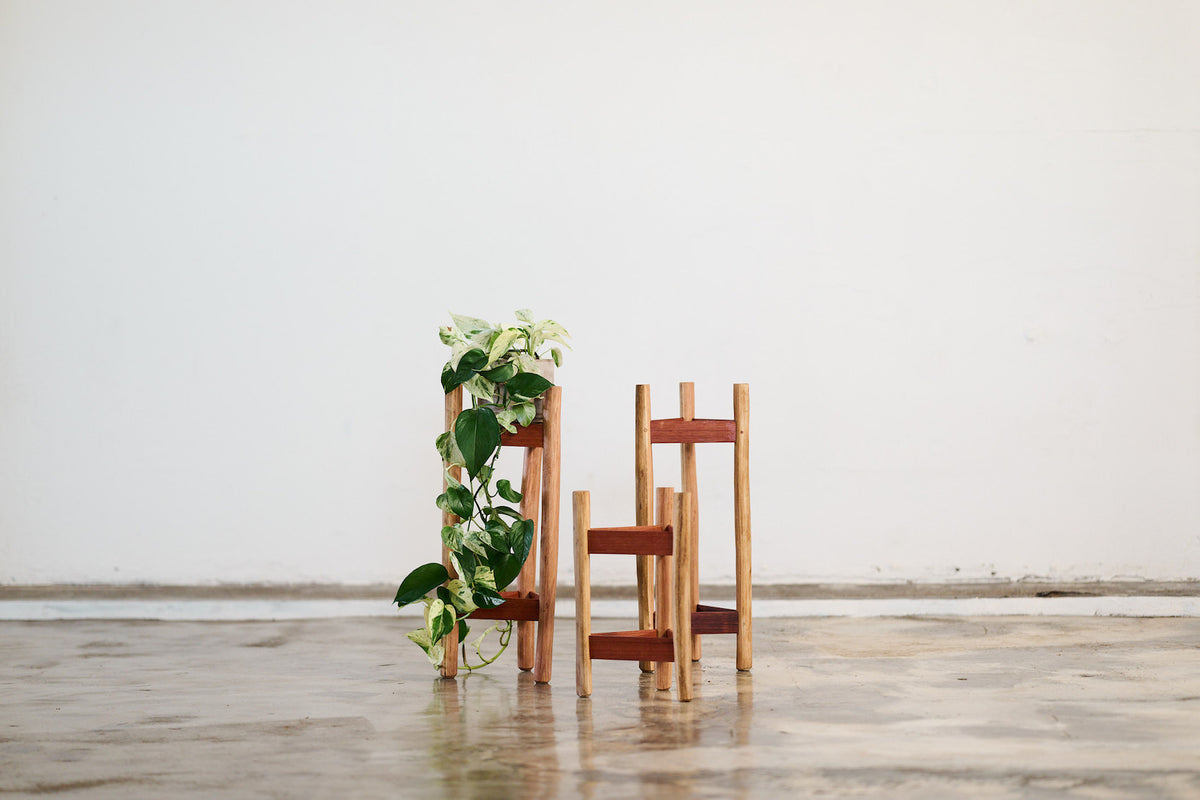 Green Wood Plant Stands | Handmade Timber Plant Holders Canberra – Thor ...